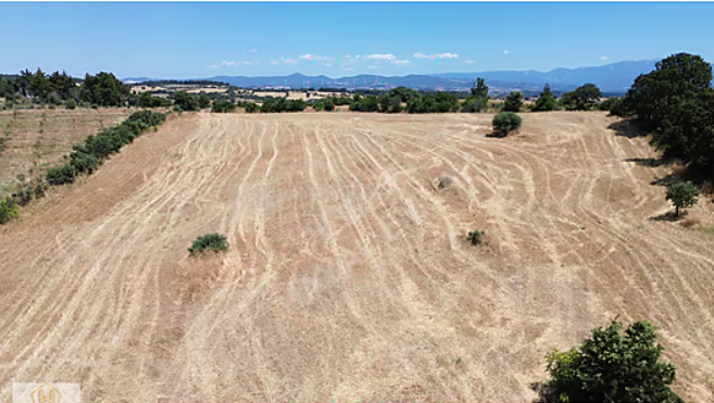 Tarla Drone Çekim